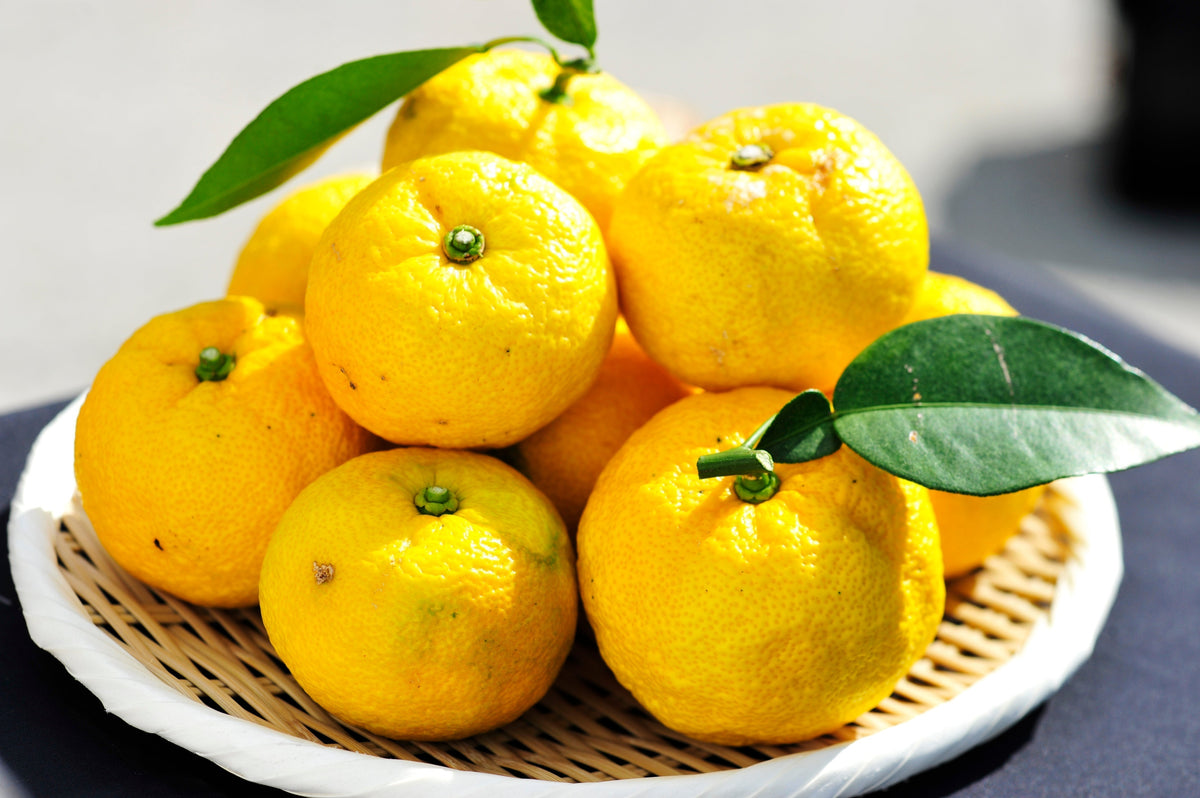 Yuzu – KANKITSU LABO