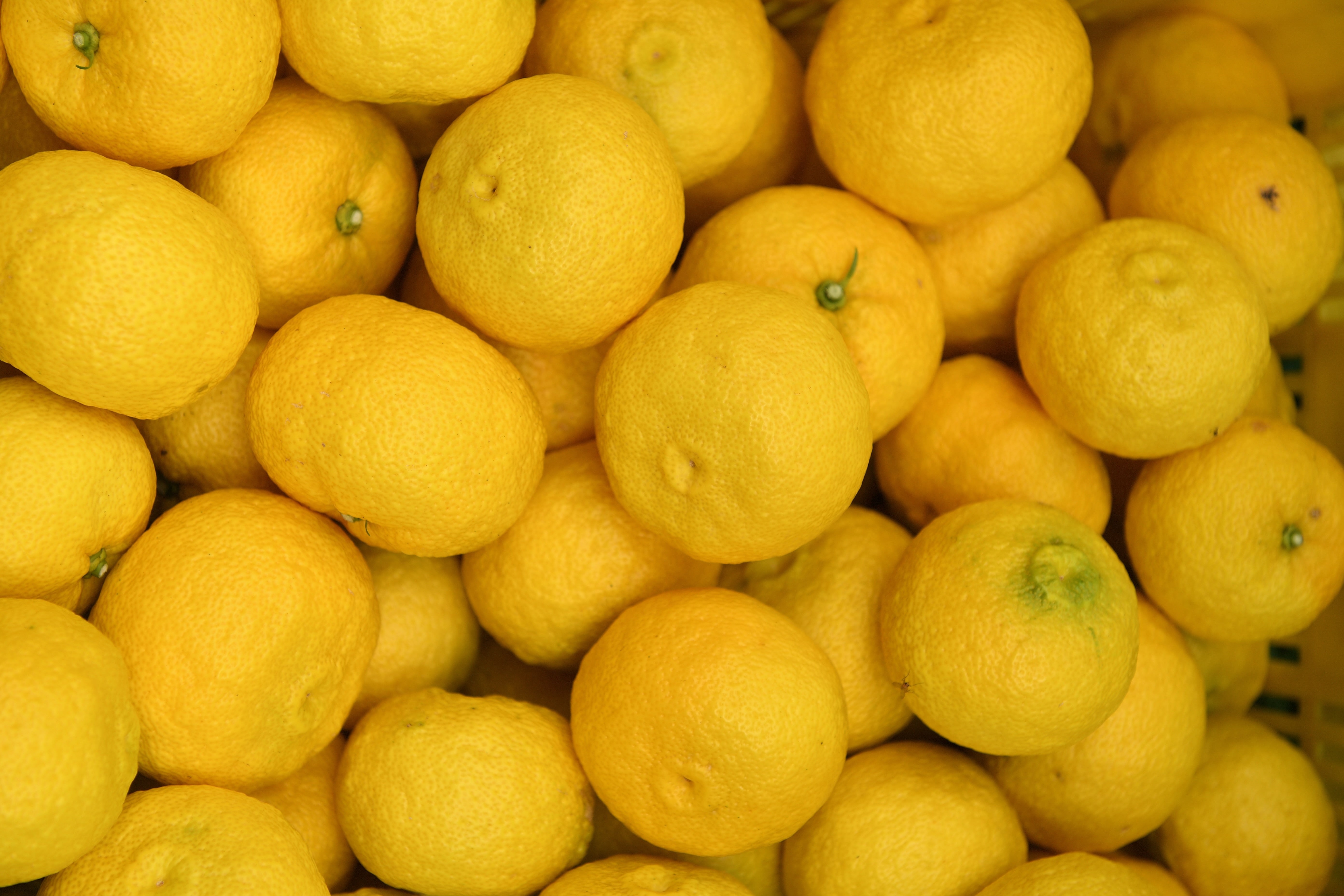 Kito Yuzu: Japan's Most Celebrated Yuzu Citrus – KANKITSU LABO
